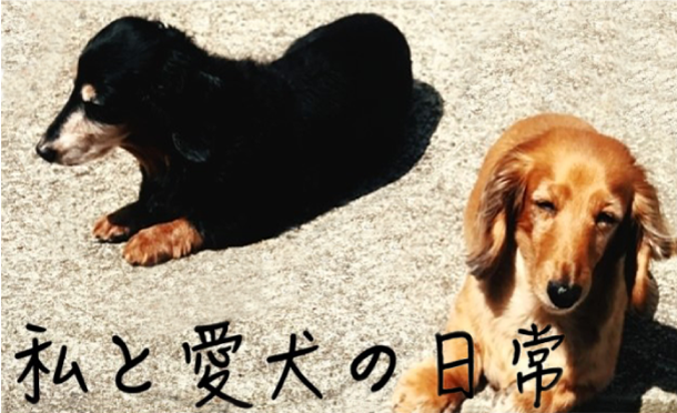 ほんとにその歳ですか。